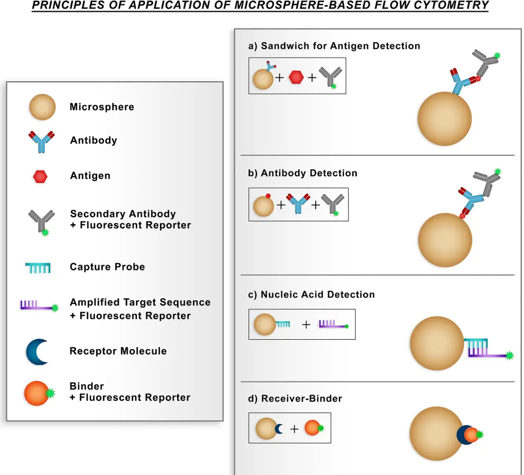 Flow Cytometry Microsphere