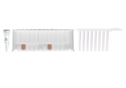 Magnetic Beads Big Volume Cell-Free DNA Isolation KitMagnetic Beads