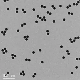 [ABPSP-3A-0300] Porous Polystyrene Particles, 3 um, 300A