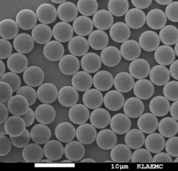 [ABPS-0090-COL2] Polystyrene Particles, 0.9 um-Collagen II